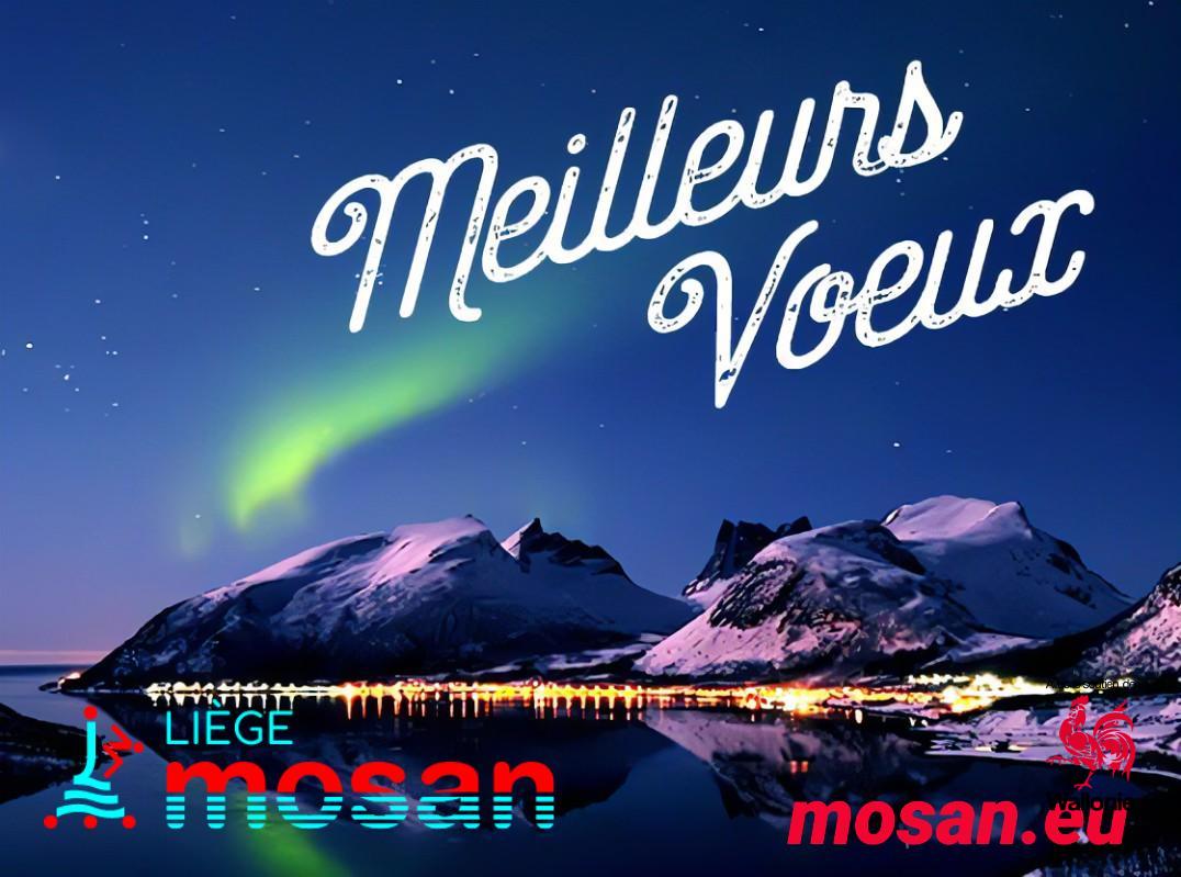 Excellente année 2025 - Liège Mosan - Le club de natation liégeois